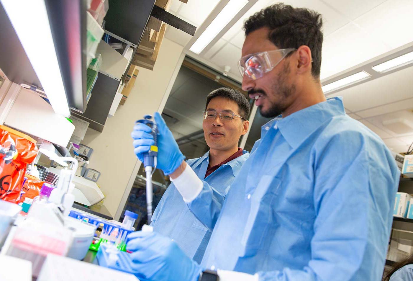 Two students in lab coats work with pipettes at a laboratory bench, illustrating practical skills in ASU's Biomedical Engineering degree.