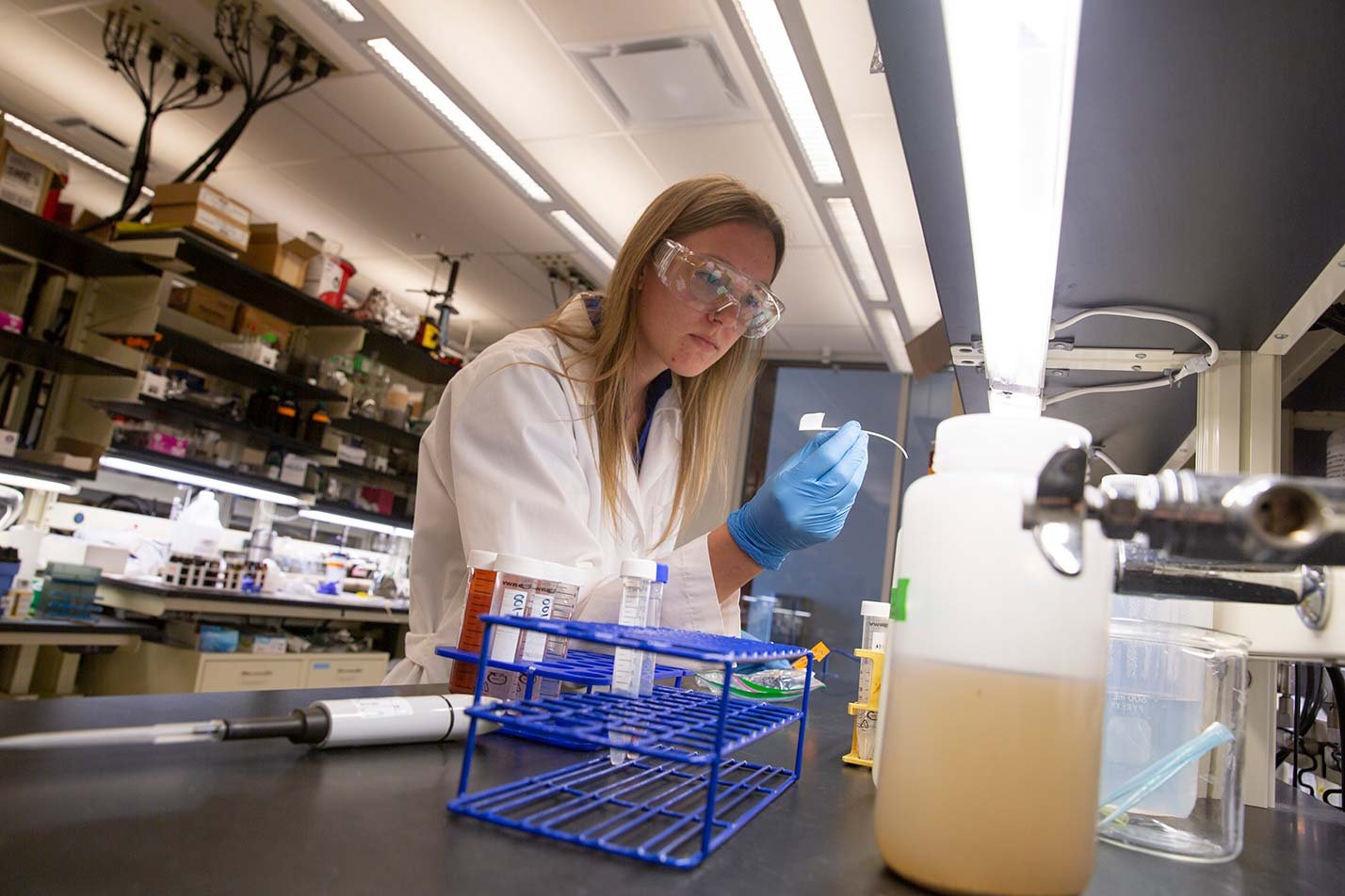A researcher handles a sample in a lab, representing hands-on learning in ASU's Civil Engineering (Sustainable Engineering) degree.
