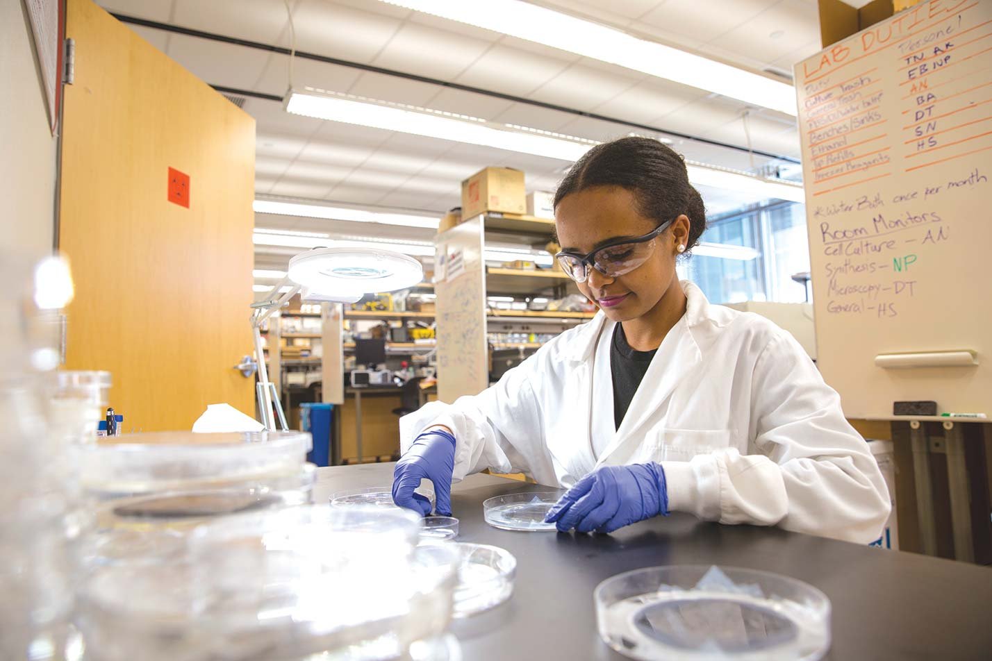A researcher prepares samples, showcasing learning in ASU's Molecular, Cellular, Tissue and Biomaterials Engineering (Graduate Certificate).