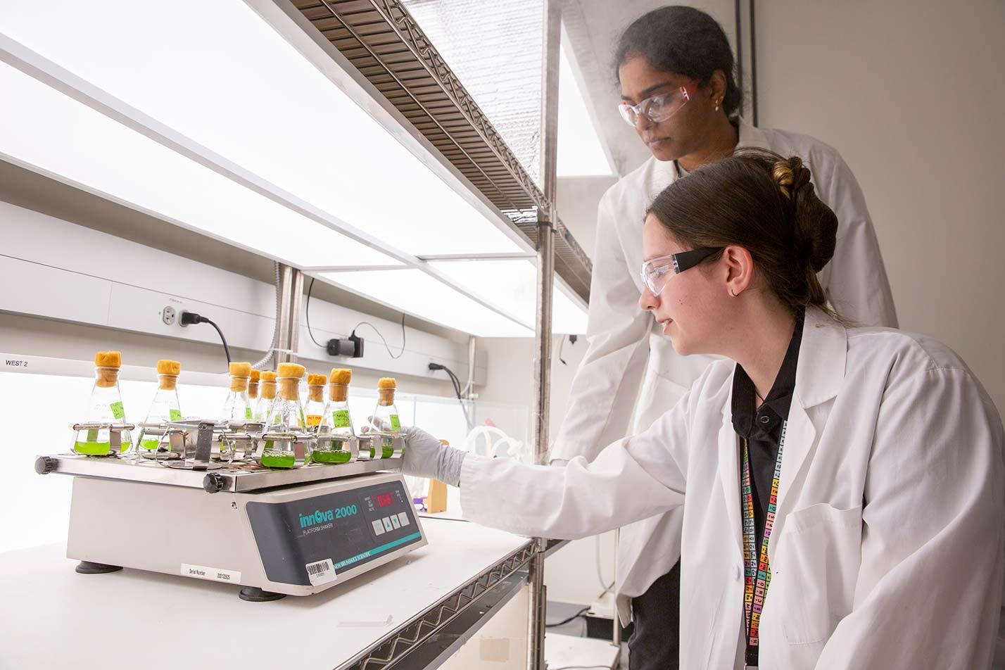 Lab researchers monitor green liquid samples in flasks, showcasing practical work in ASU's Materials Science and Engineering program.
