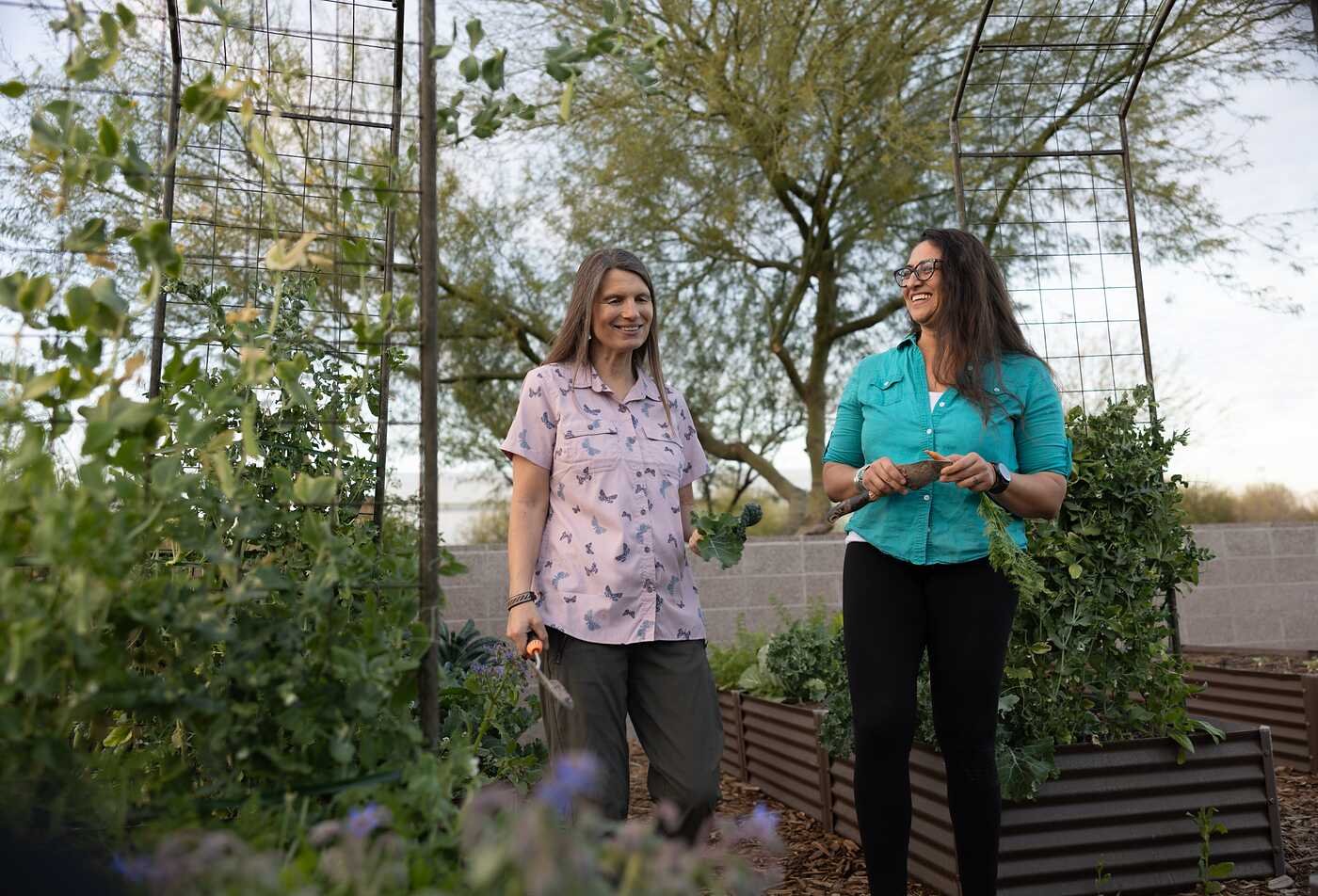 Arizona State University professors from the Rob Walton College of Global Futures taking inspiration from nature and Indiginous practices for their design principles through Biomimcry.