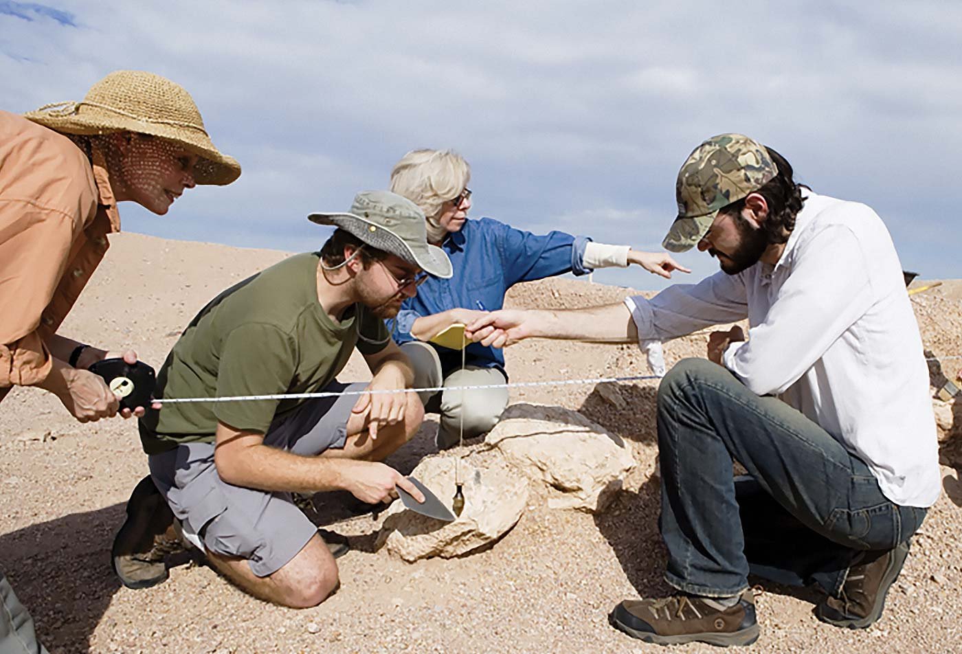 Students examine archeology artifacts in the field, representing hands-on learning in the Design, Environment and the Arts (History, Theory and Criticism), PhD.