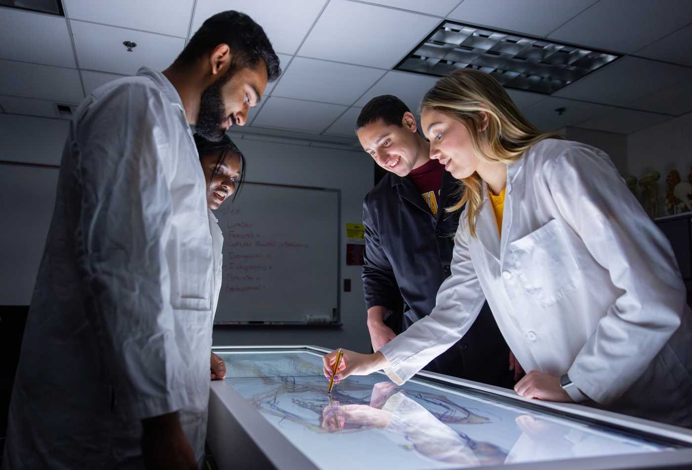 Students in lab coats examine the medical diagram of a body, showing the hands-on learning in the BS in Health Sciences