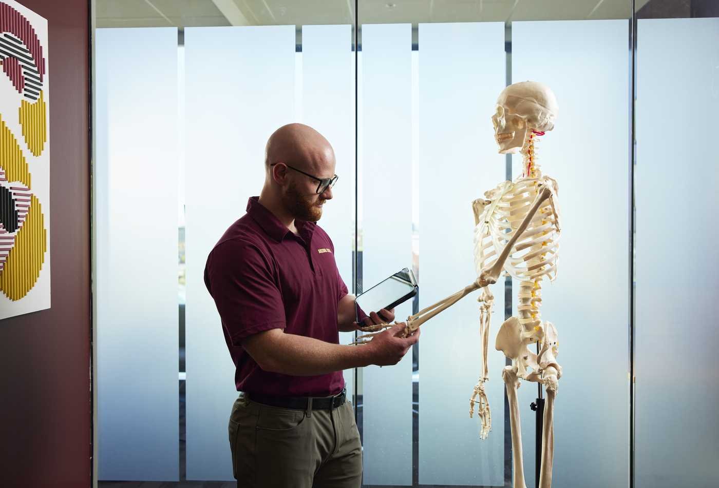 A kinesiology student examines a model skeleton, demonstrating practical learning in the minor.