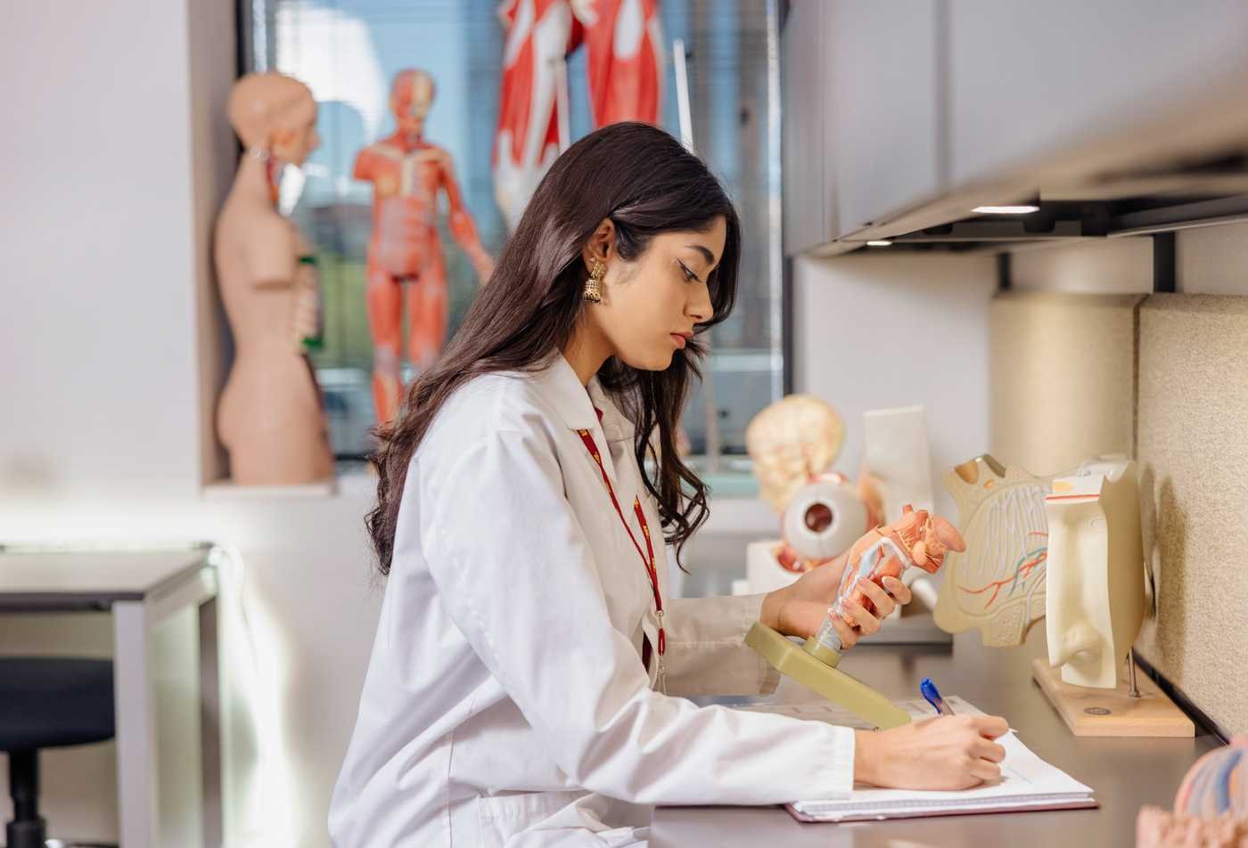 A student in a lab coat examines the model of a hearth while taking notes, showcasing hands-on learning in the certificate in Pre-Health.