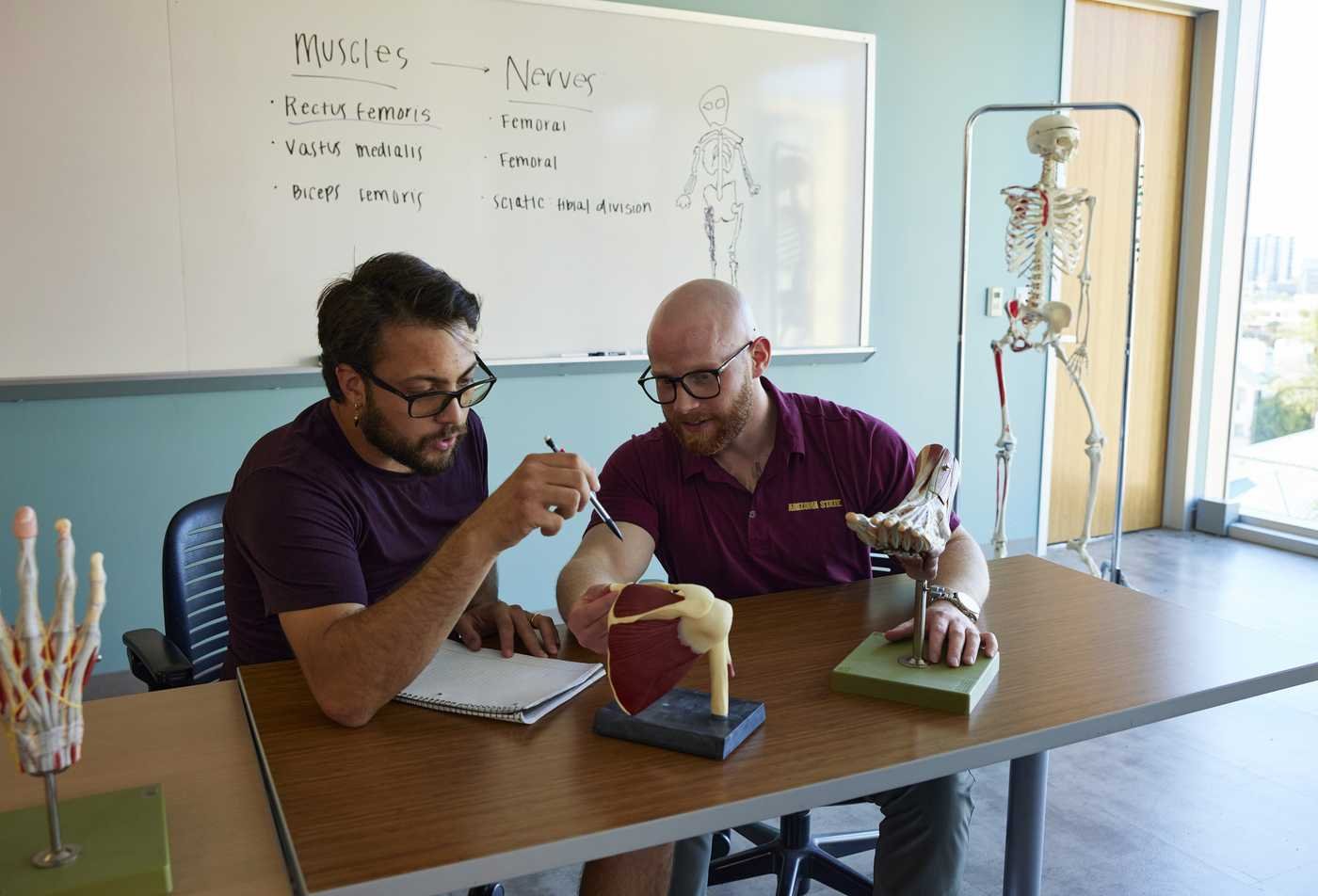 A student examines a medical model of muscle with his instructor, showcasing the hands-on collaborative learning in the BS in Health Sciences (Healthy Lifestyles and Fitness Science).