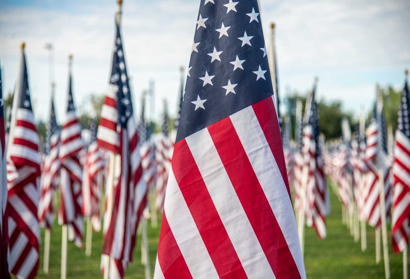 Multiple American flags are planted in the ground, symbolizing the civic perspective presented in the BA in American Studies.