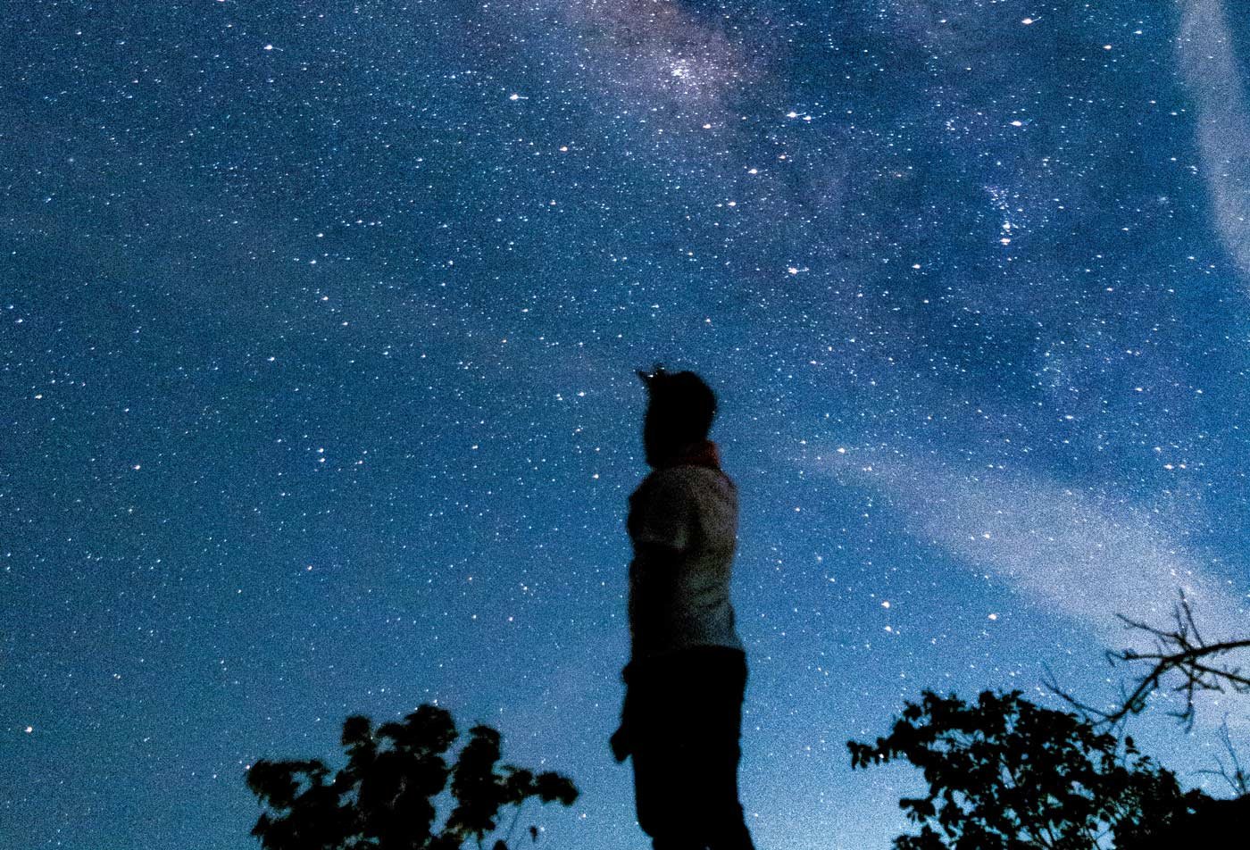 A student stands outside looking up at the night sky, symbolizing the field explored in the minor in Astronomy.