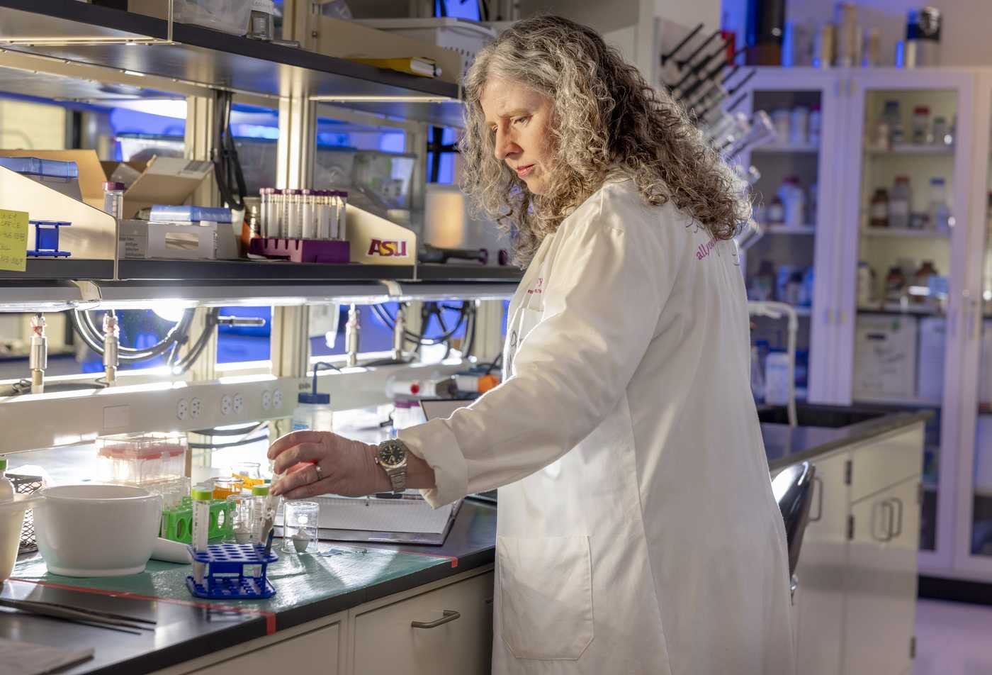 A student analyzes chemical samples in a lab, exploring drug discovery in ASU's Biochemistry (Medicinal Chemistry), BS program.
