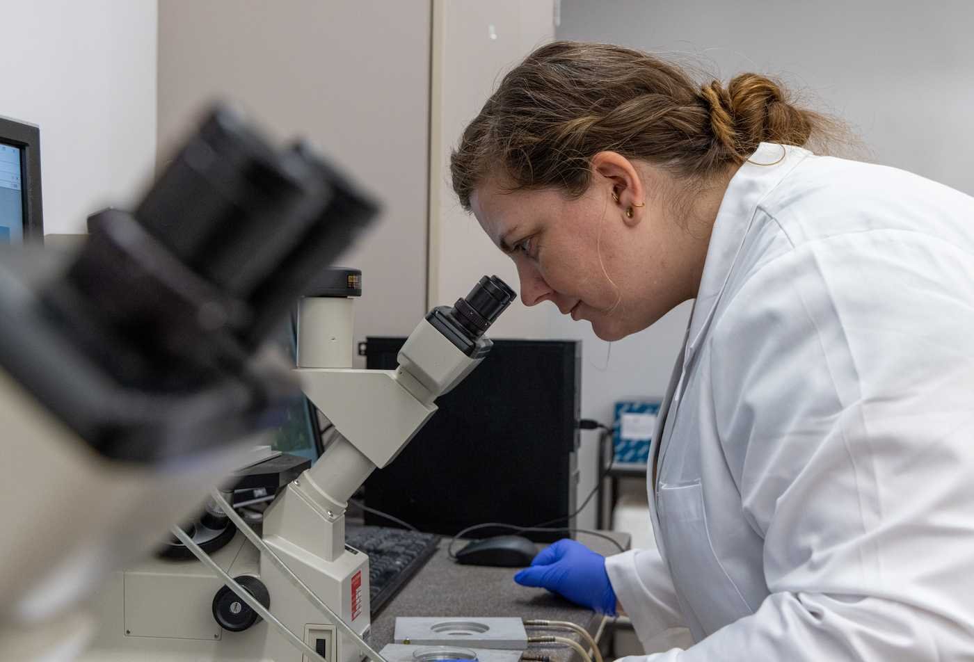 A student looks through microscope in a lab, showcasing hands-on research in the PhD in Biology (Complex Adaptive Systems Science).