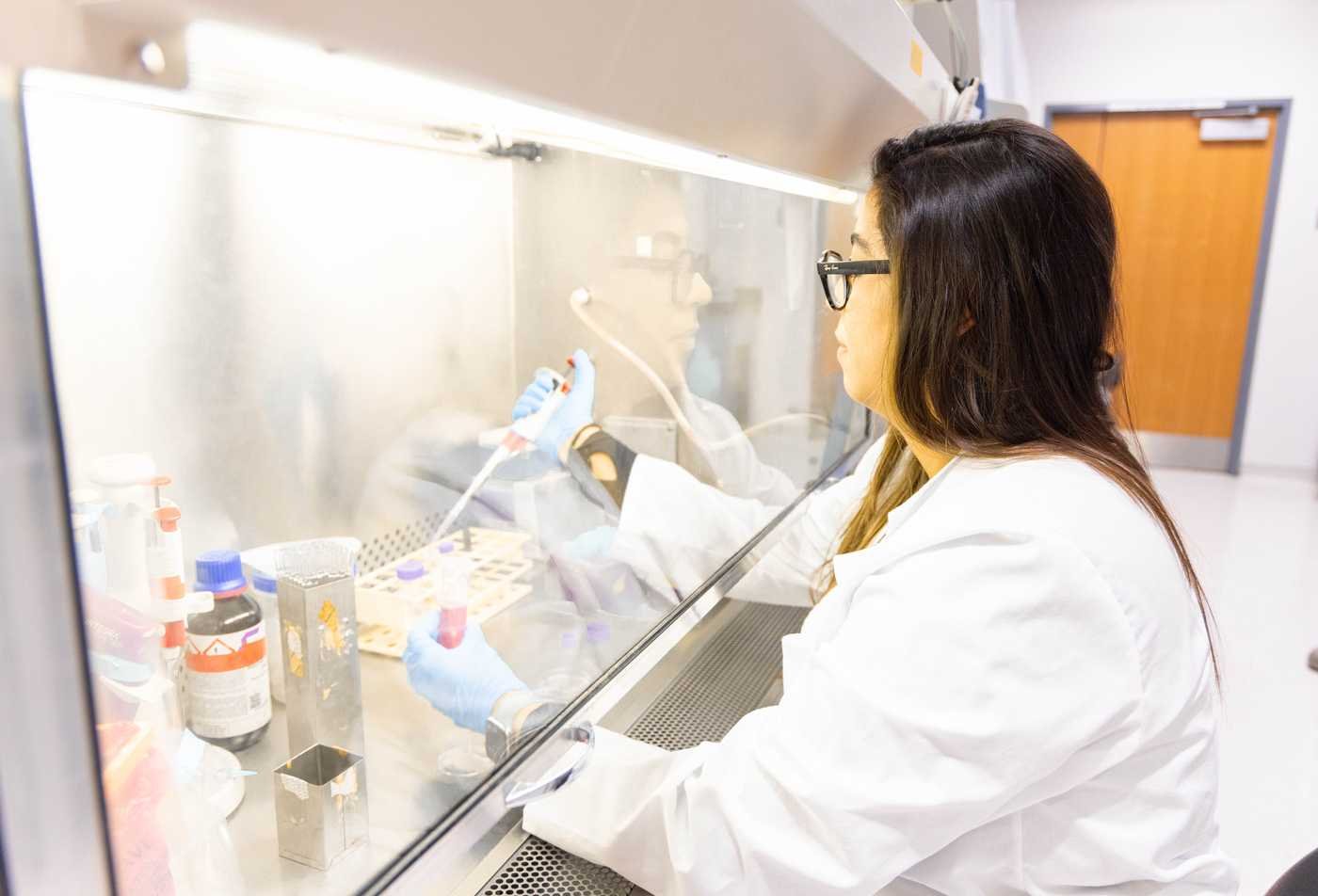 A student performs chemistry experiments in a lab, showcasing hands-on research in the MS in Biology.