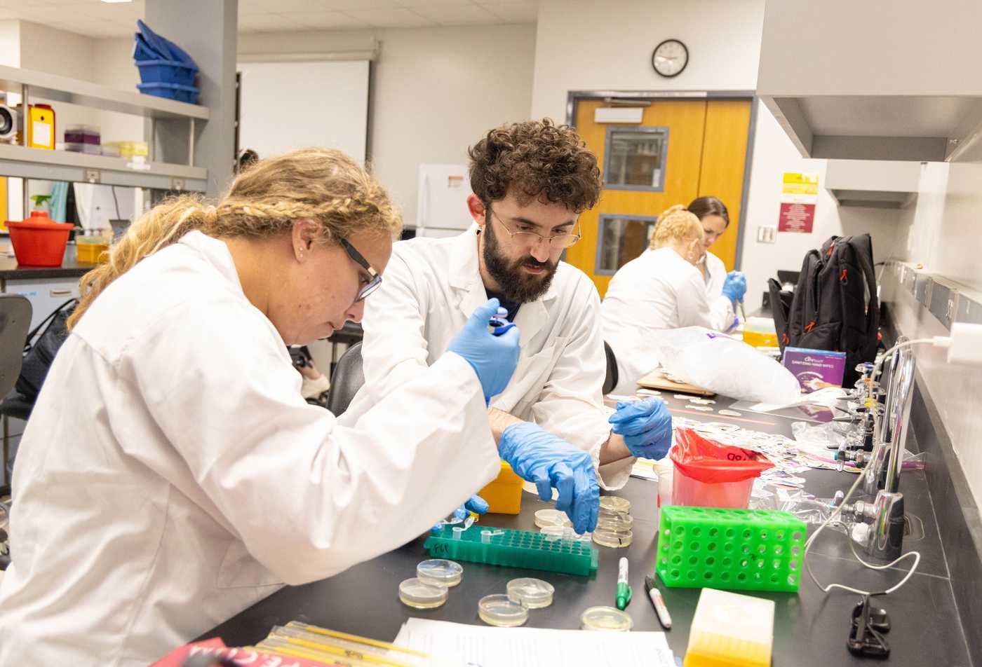 Two students work together on a scientific experiement in a lab, demonstrating collaborative research in the PhD in Biology.
