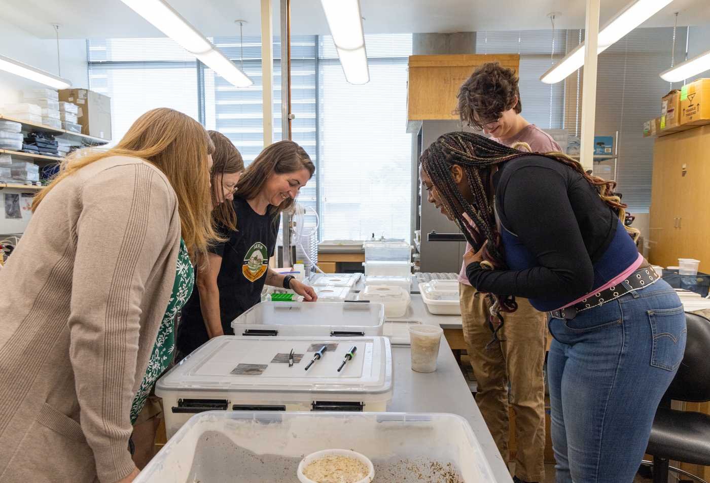 Five students in a lab examine at insects samples, demonstrating hands-on learning in the MS in Biology (Biology and Society).