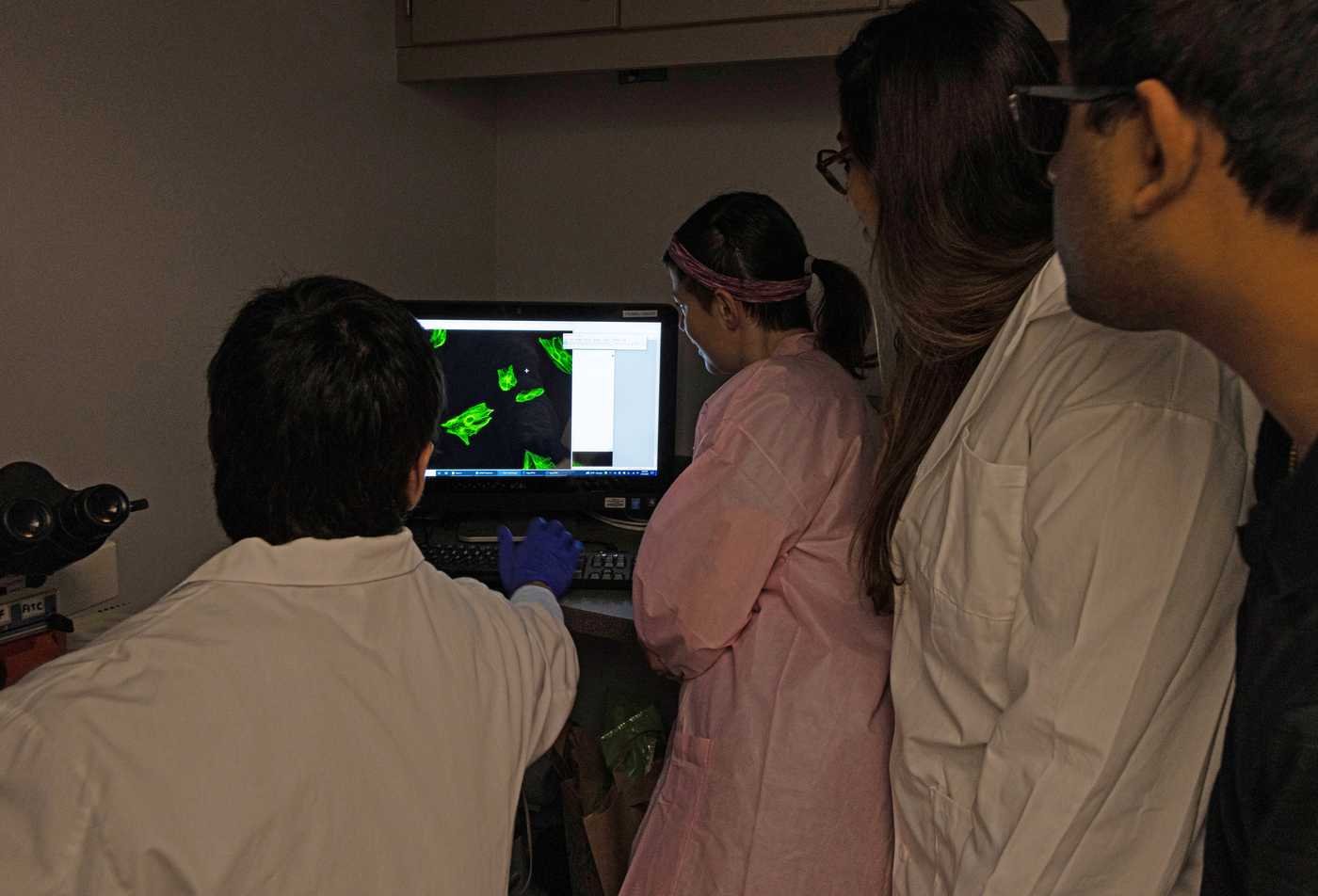 Researchers perform lab analysis on bee DNA, supporting conservation research in ASU's Biological Sciences (Conservation Biology and Ecology), BS program.