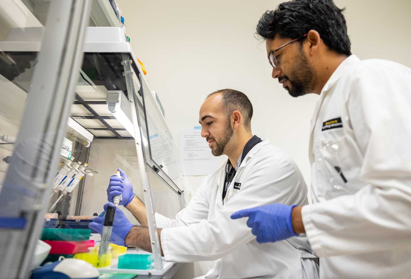A researcher uses a pipette in a lab, exploring genetics in ASU's Biological Sciences (Genetics, Cell and Developmental Biology), BS program.