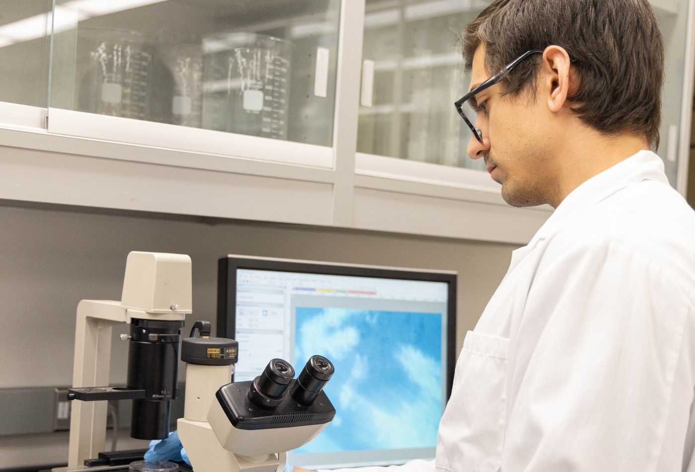 Male student looks at a microscope, supporting health research in the BS in Biological Sciences (Biology and Society).