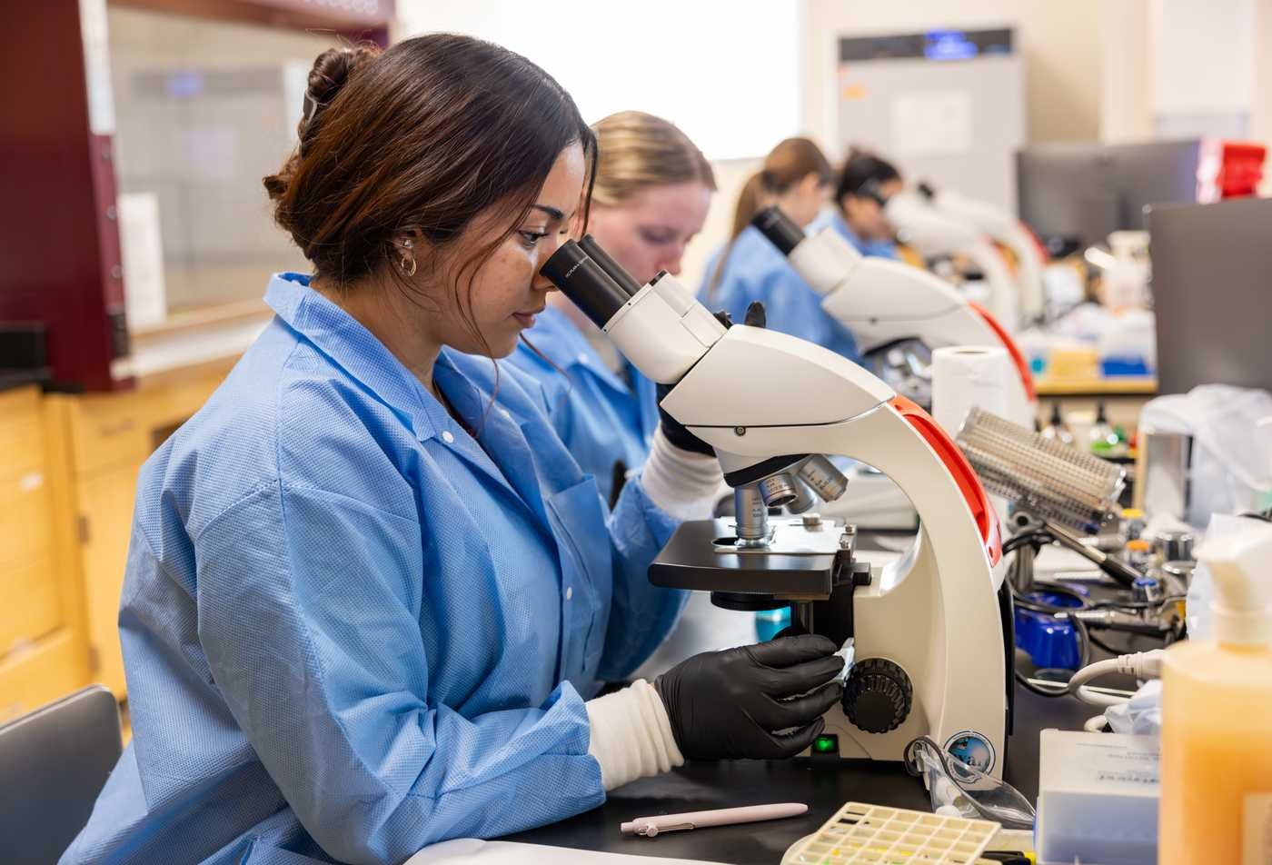 A student examines samples through a microscope in a lab, building hands-on research skills in the Evolutionary Biology, PhD.