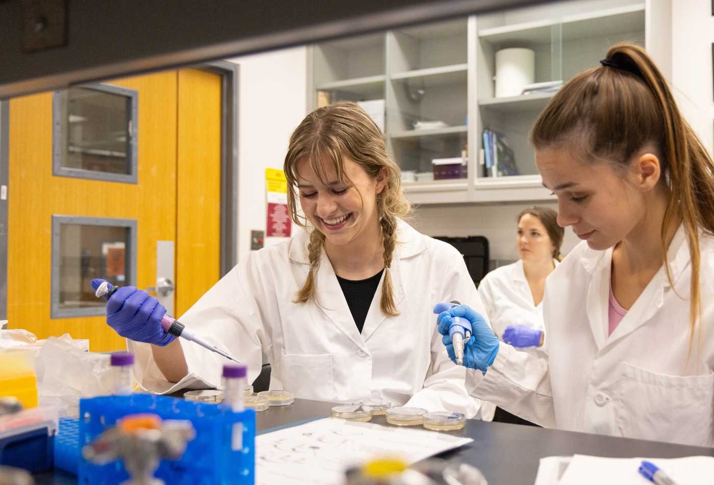 A researcher uses a pipette in a lab, studying health-related microbes in ASU's Microbiology (Medical Microbiology), BS program.