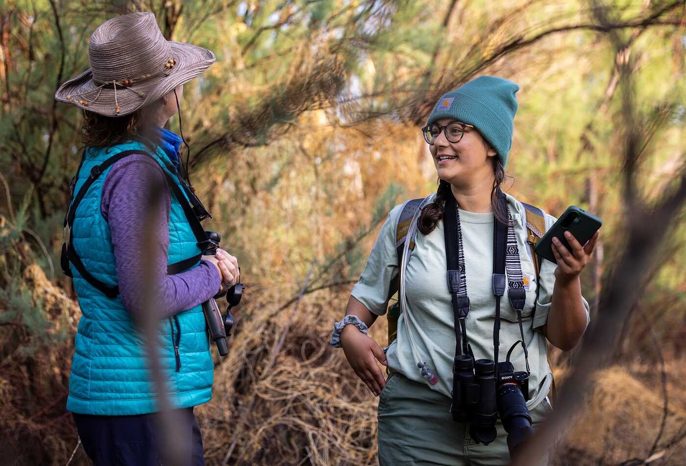 Two researchers discuss field observations in a wooded habitat, highlighting natural resource ecology in ASU’s Applied Biological Sciences (Natural Resource Ecology) degree
