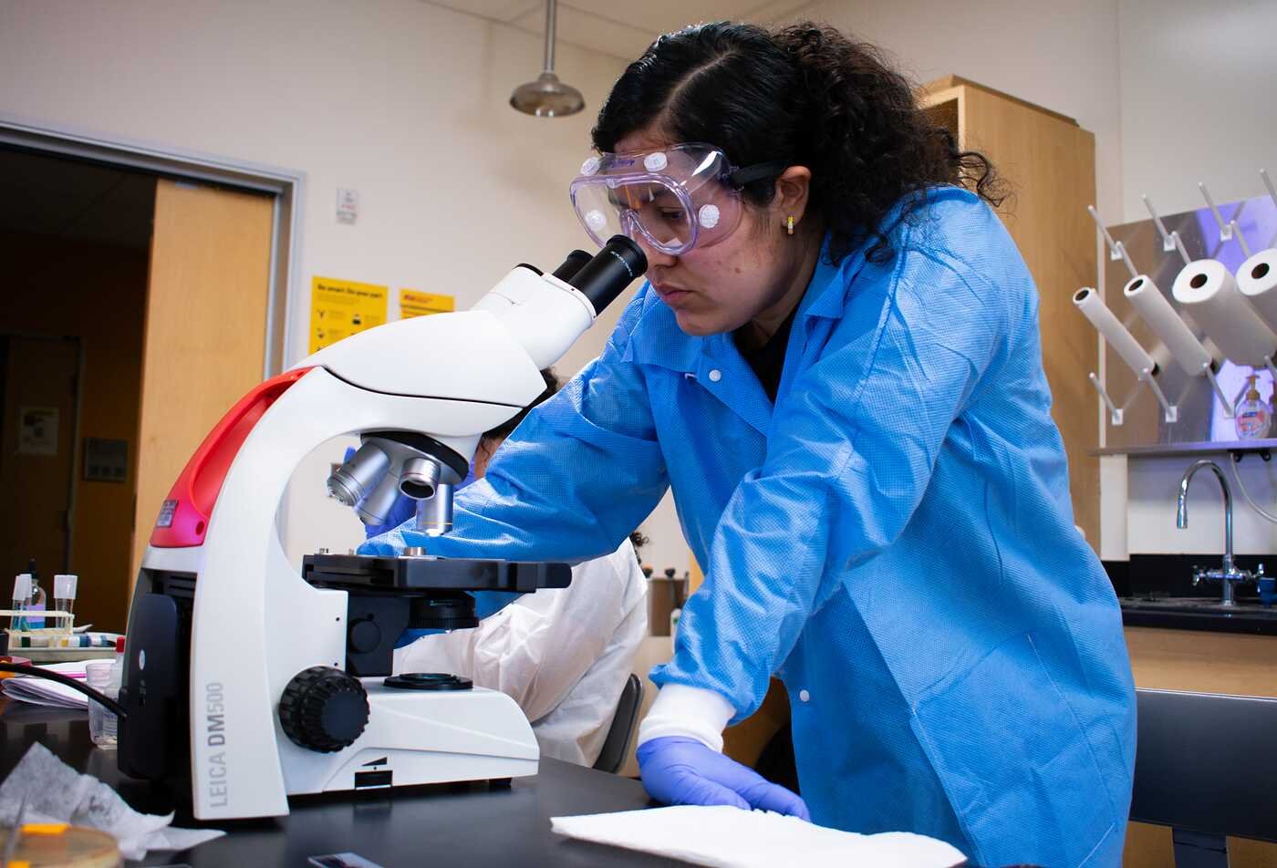 A researcher uses a microscope in a biology lab, highlighting hands-on learning in ASU’s Applied Biological Sciences degree