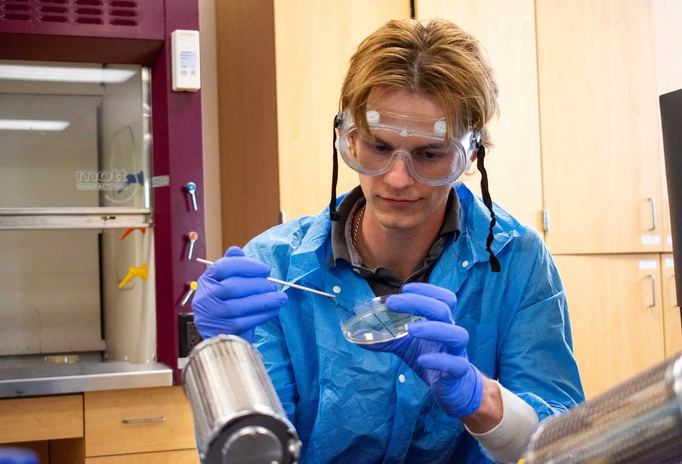 In a biology lab, a researcher examines a petri dish, showcasing practical learning in ASU’s Applied Biological Sciences minor