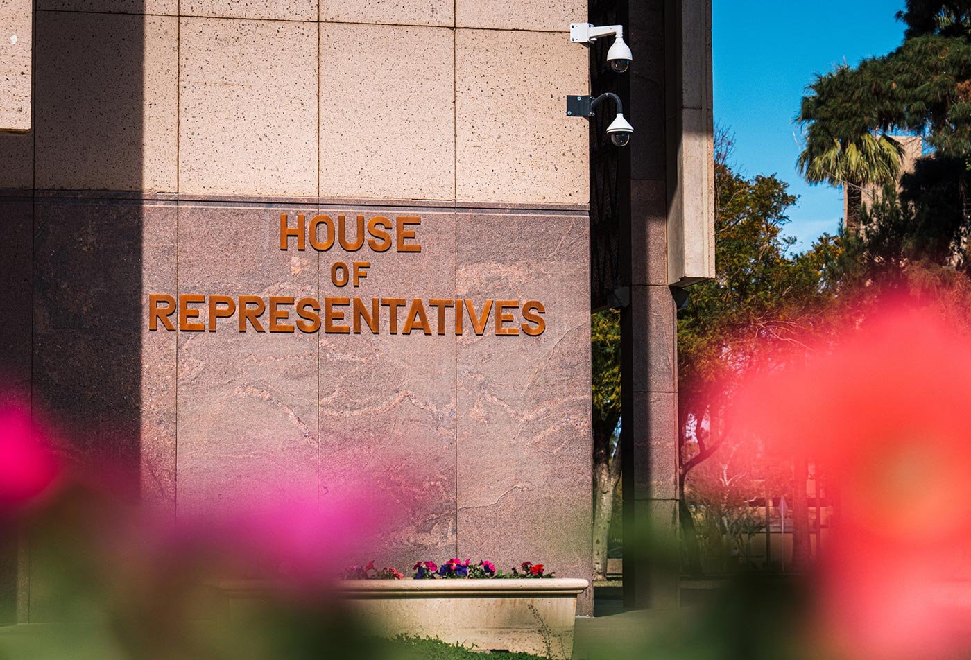 The House of Representatives building stands framed by flowers, reflecting the civic engagement at the heart of this Law and Policy concentration.