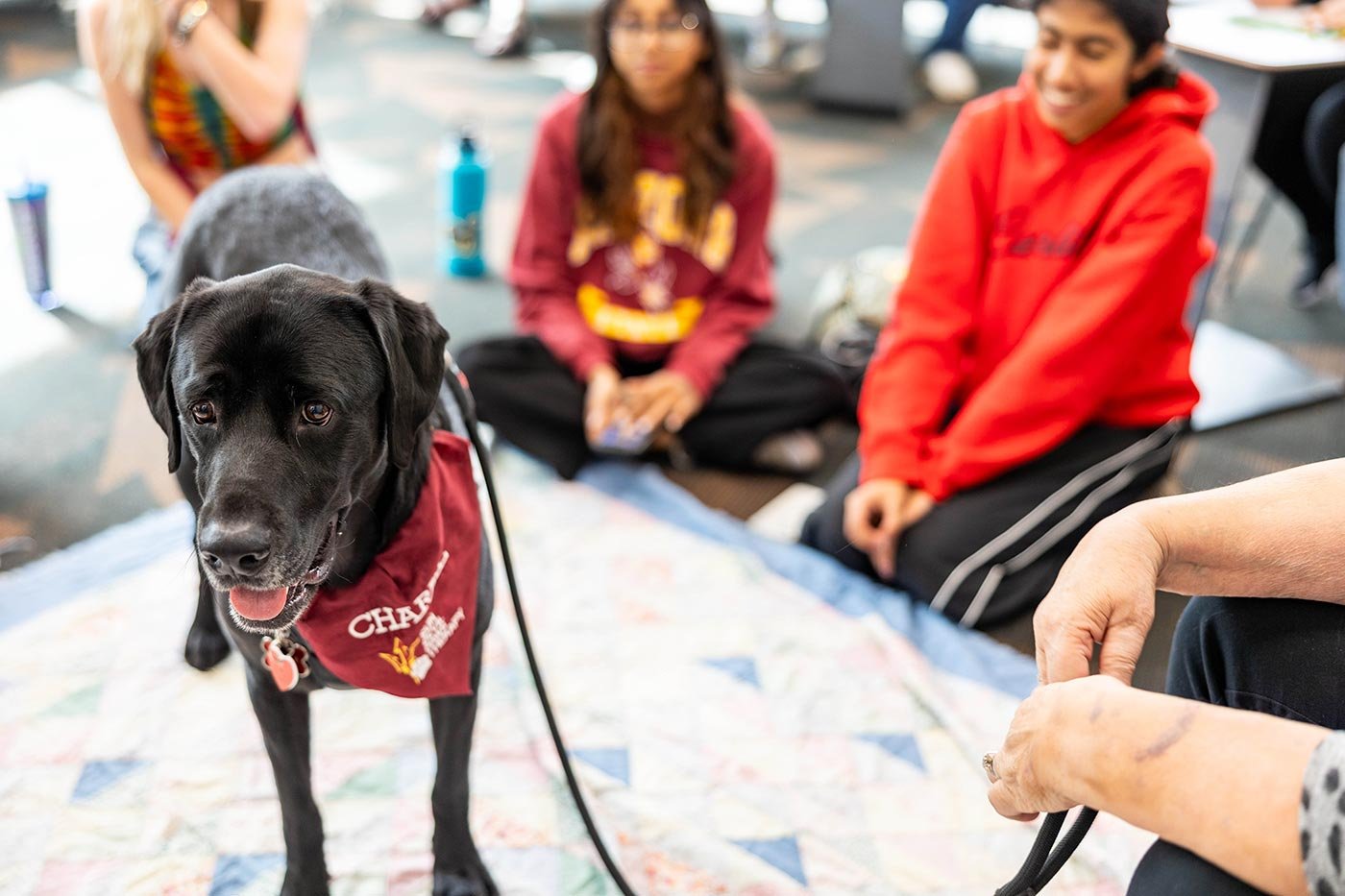 Students engaging in recreational therapy interact with a black dog in a casual indoor environment.