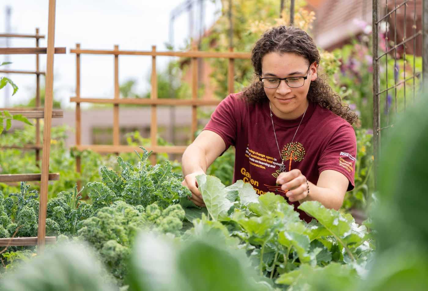 An ASU student tends to an outdoor garden, showcasing the principles explored in the certificate in Environmental Education