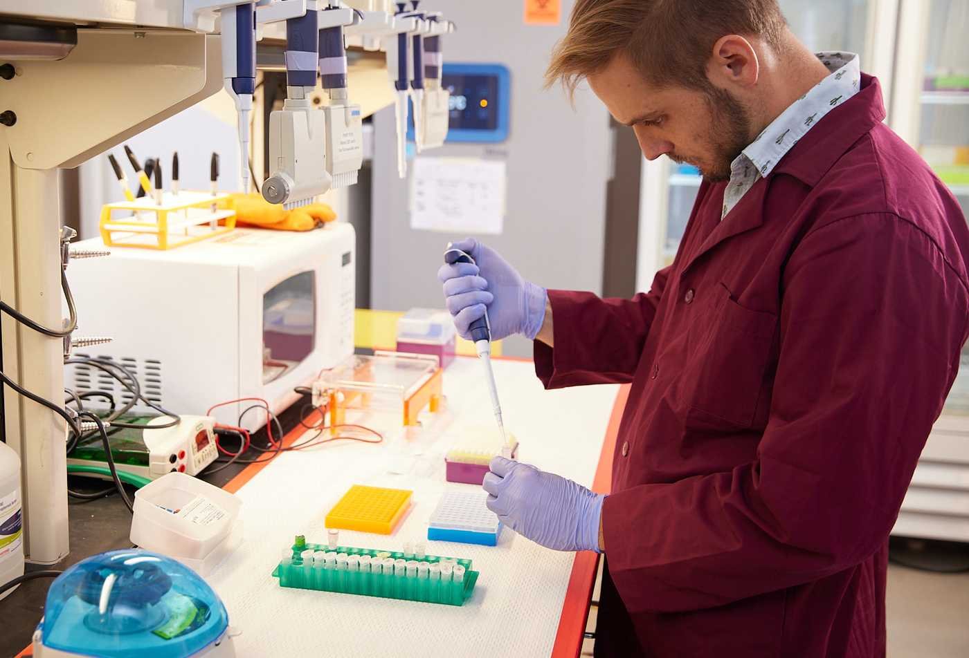 A researcher performs pipette work in a laboratory, highlighting practical biotechnology skills in ASU's Applied Science (Biotechnology) degree.
