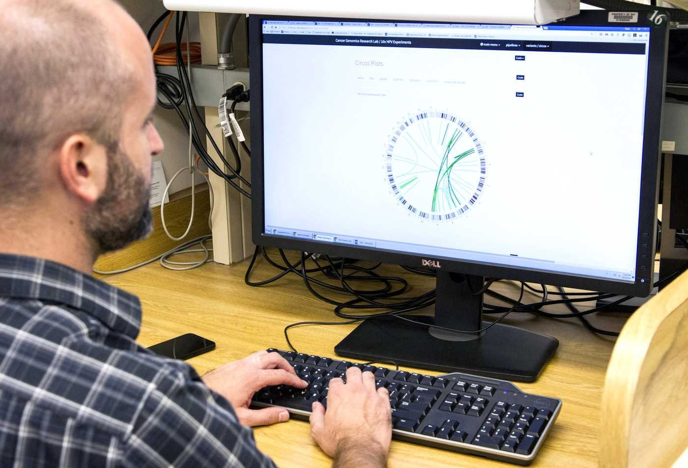 A digital network illustration represents computational analysis in ASU's Biological Data Science (Graduate Certificate).