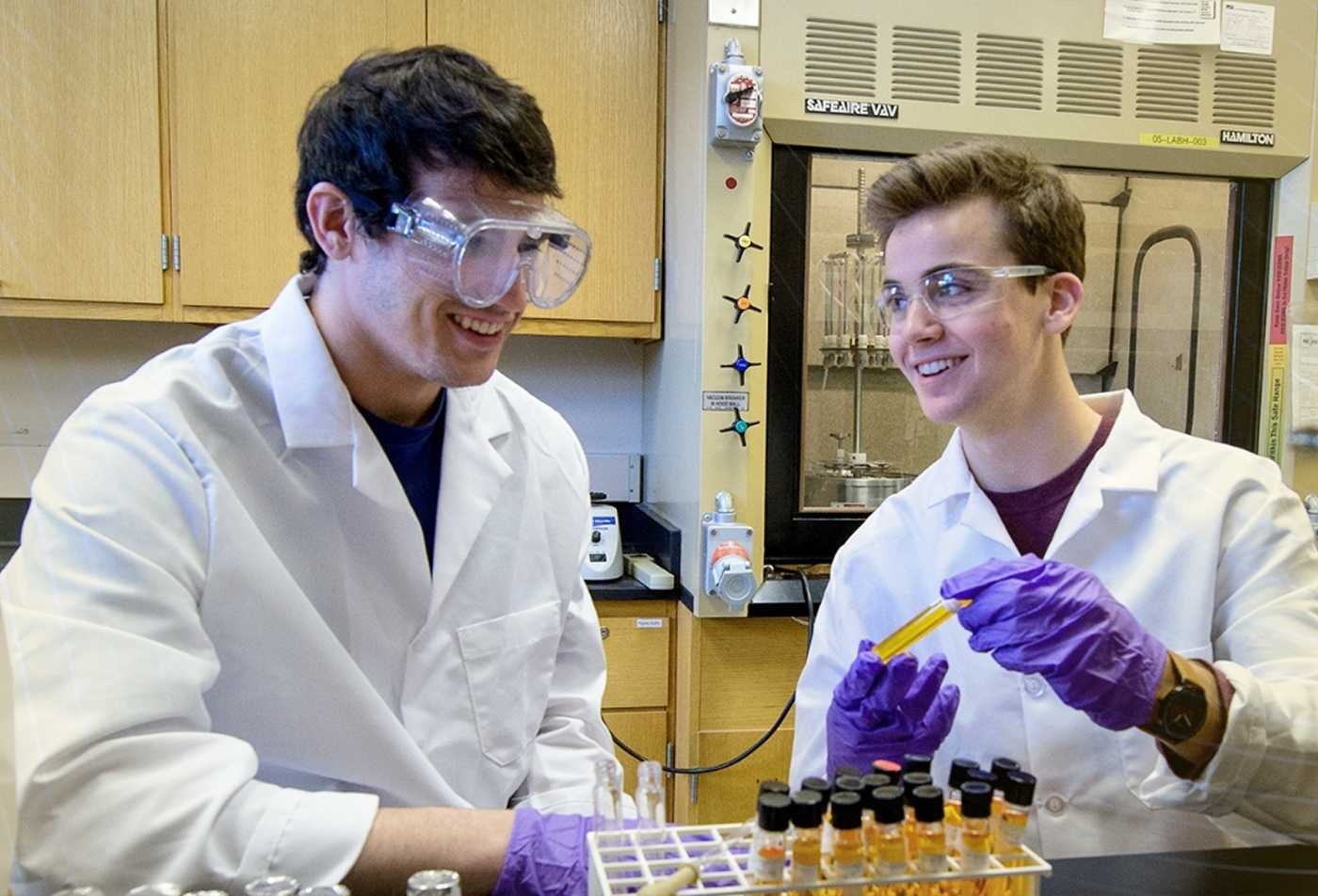Students conduct research on peppers in a lab, supporting practical inquiry in ASU's Environmental Studies certificate.
