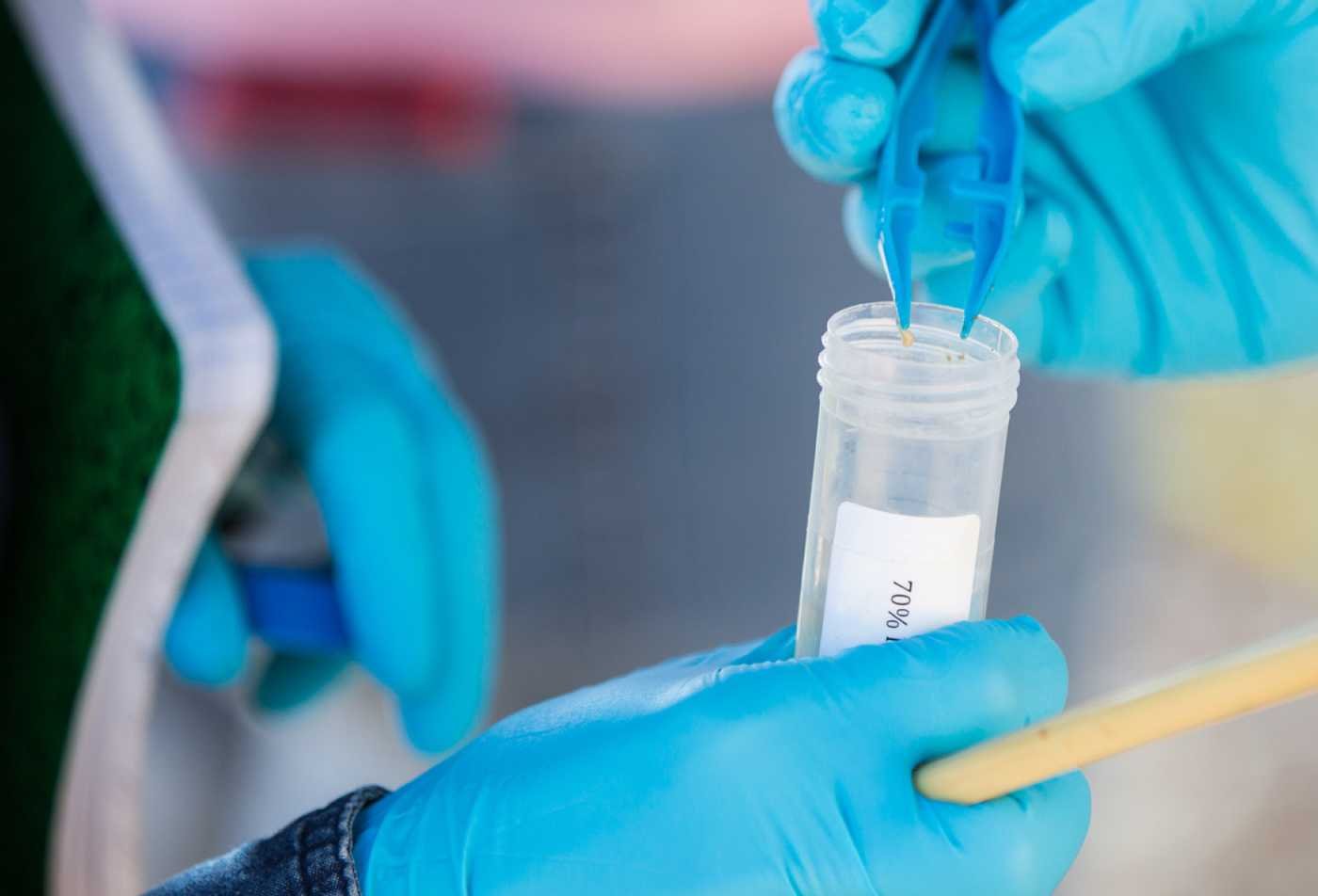A researcher performs gathers samples during an investigation, highlighting applied analysis explored in ASU's Forensic Science, PSM program.