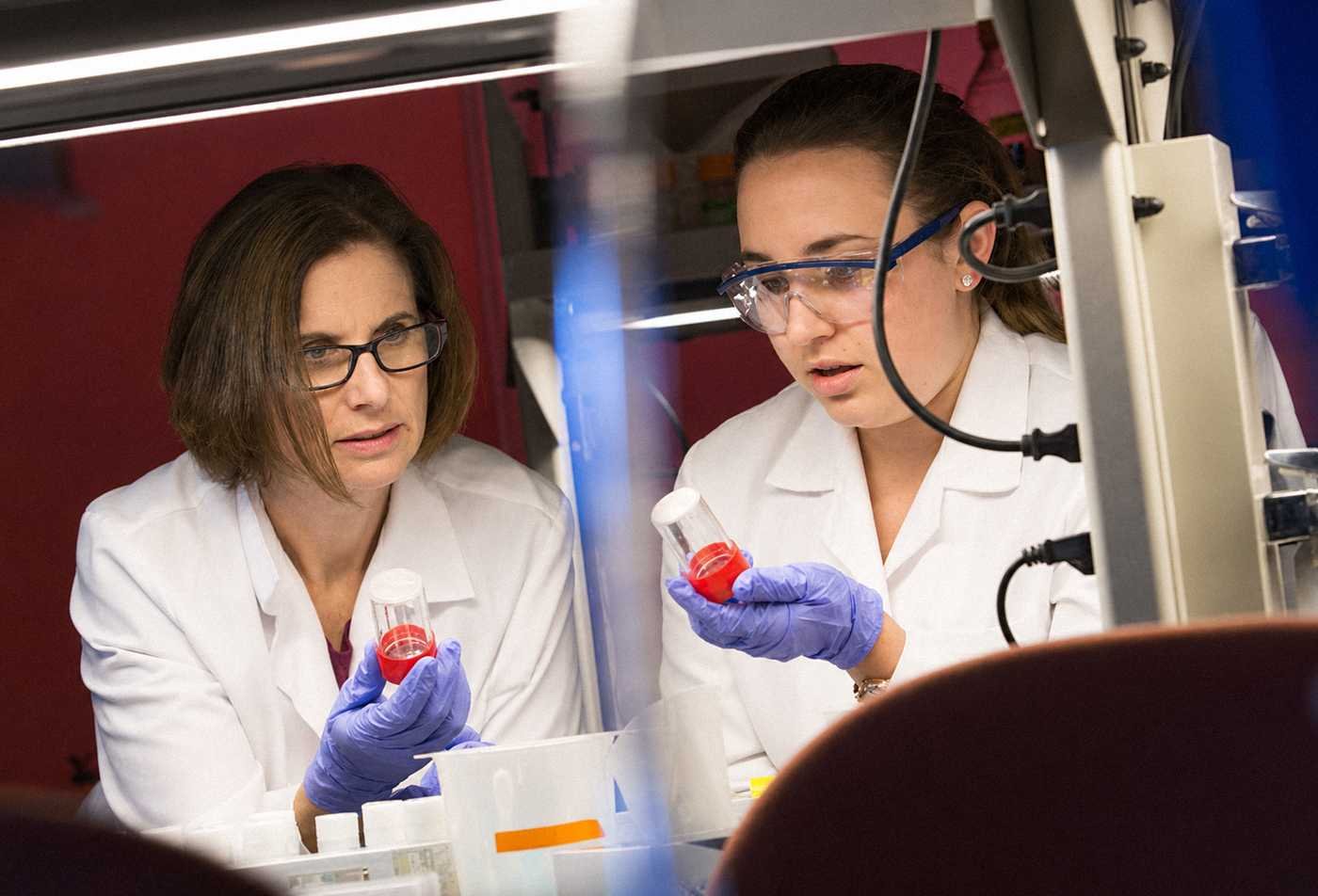 Two researchers analyze samples in a laboratory, demonstrating practical scientific inquiry in ASU's Biology minor.