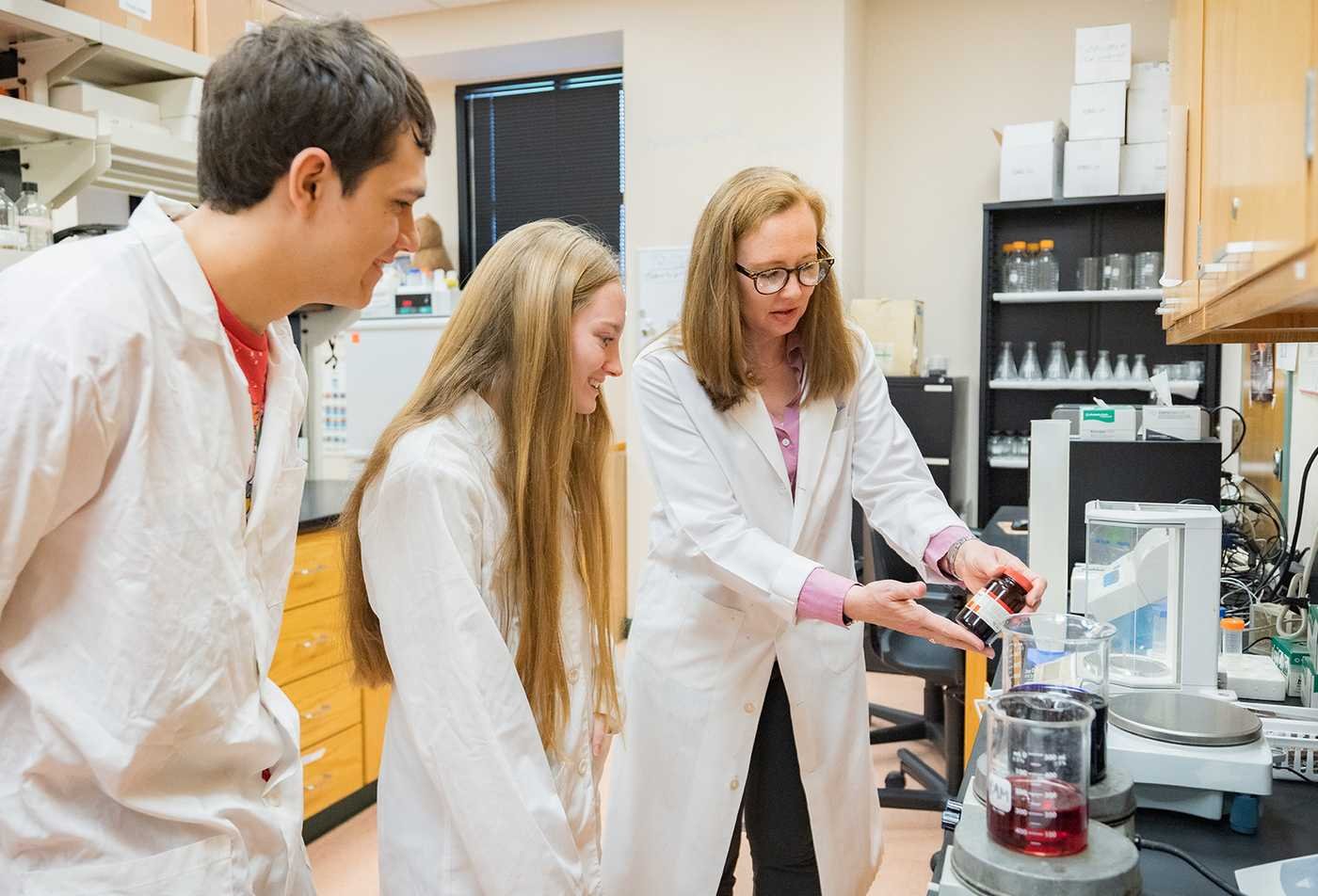 Researchers conduct lab experiments with faculty guidance, highlighting hands-on learning in ASU's Biology (Pharmacology/Toxicology), BS program.
