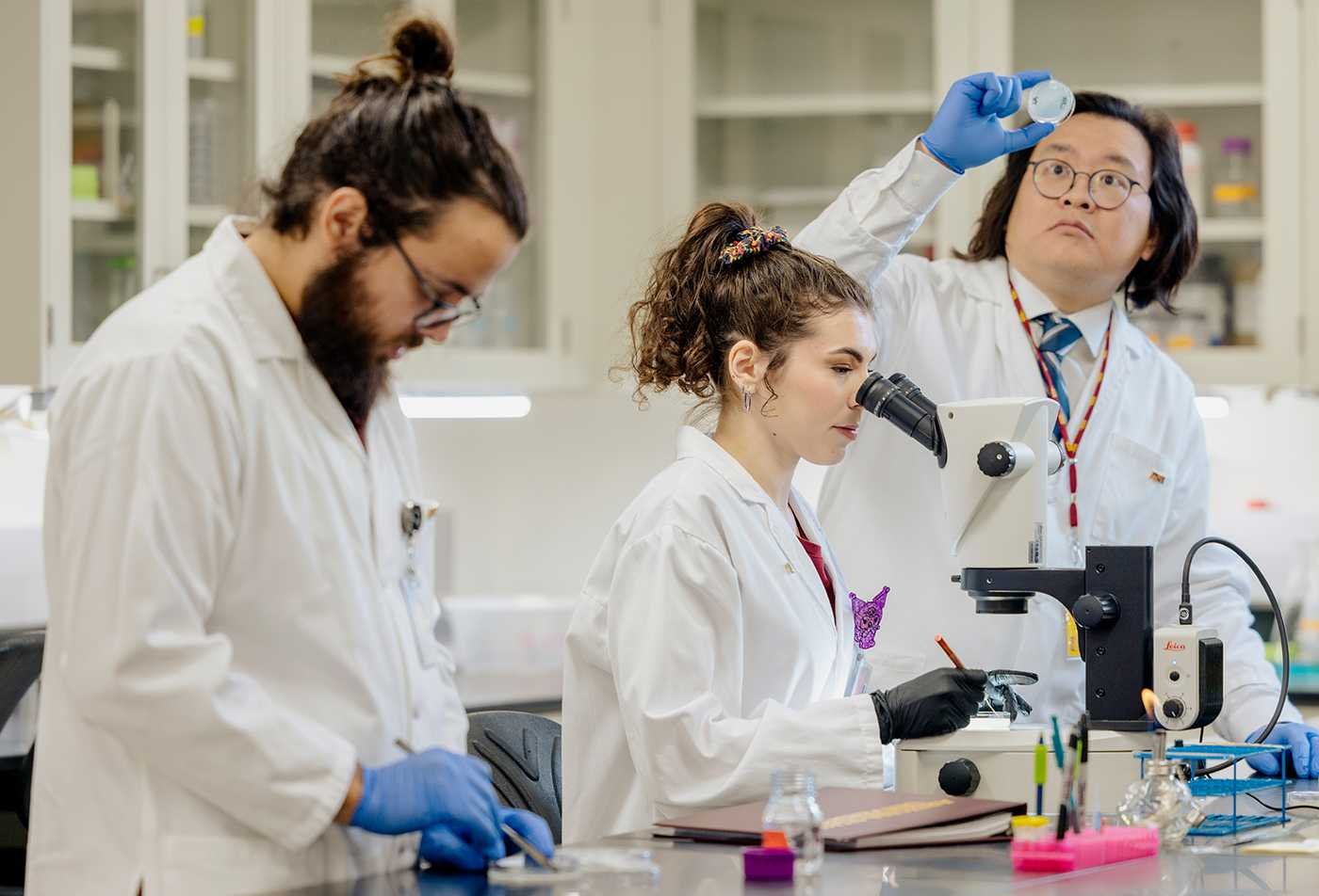 Researchers conduct laboratory experiments, highlighting scientific discovery in ASU's Pharmacology and Toxicology, BS program.