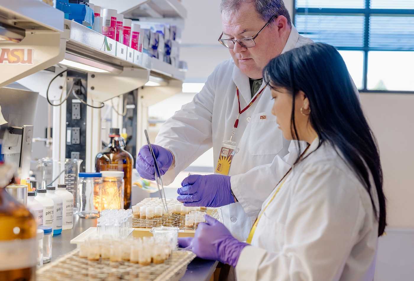 Researchers analyze environmental samples, applying science in ASU's Pharmacology and Toxicology (Environmental Studies), BS program.