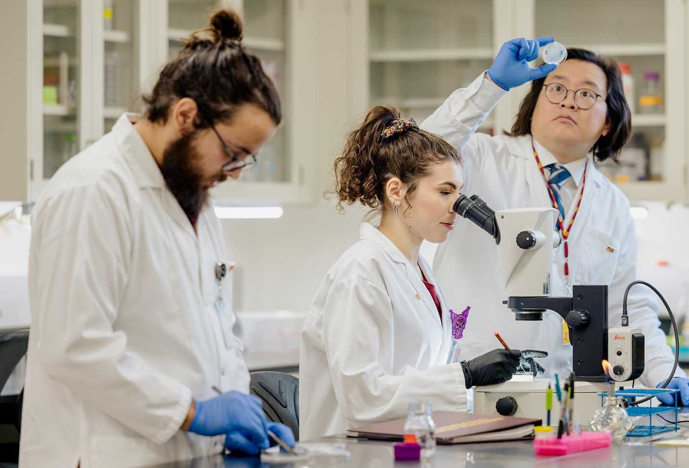 Researchers examine samples in a laboratory, supporting scientific inquiry in ASU's Pharmacology and Toxicology minor.