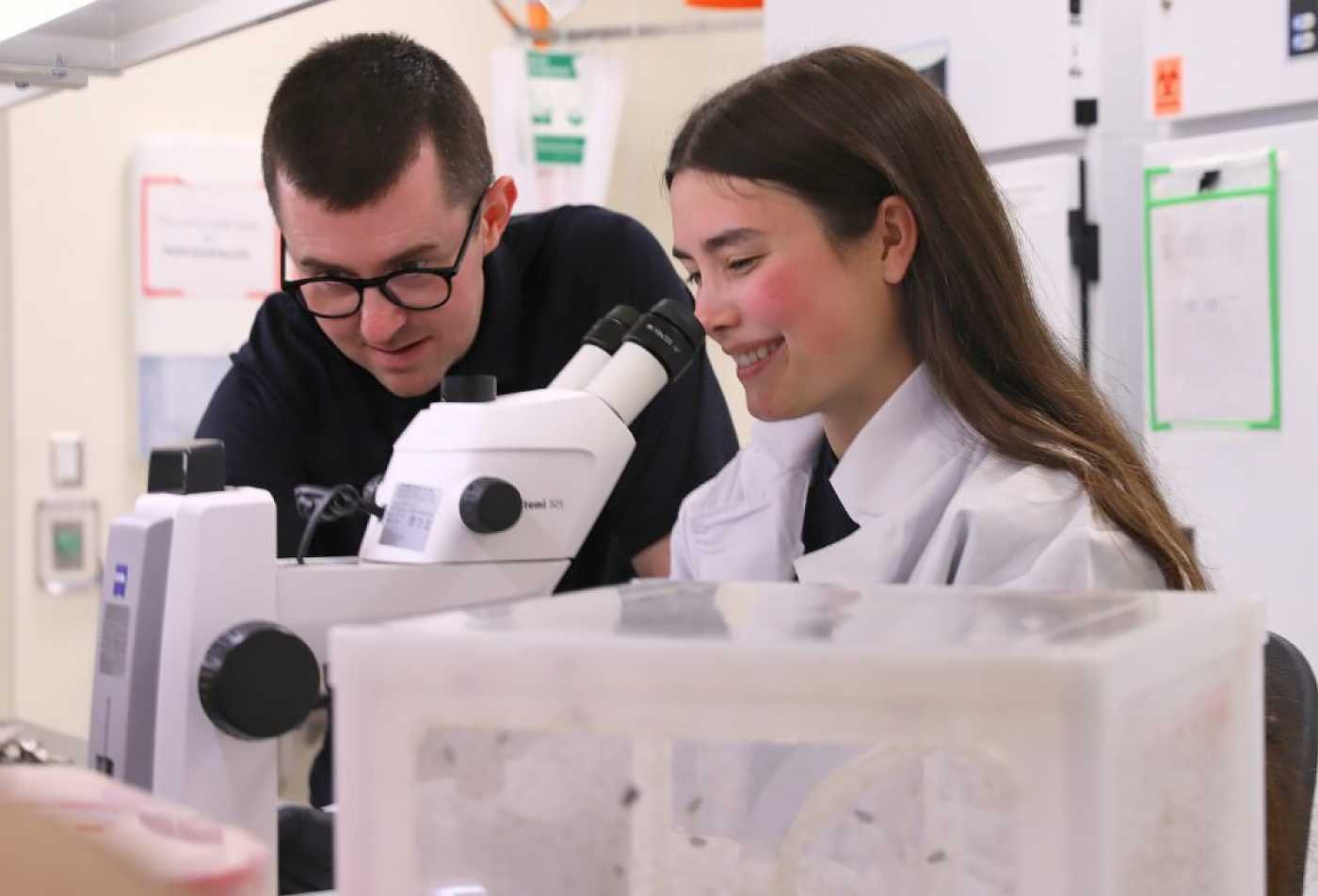 Researchers examine samples through a microscope, connecting scientific discovery with communication in ASU's Science Communication minor.